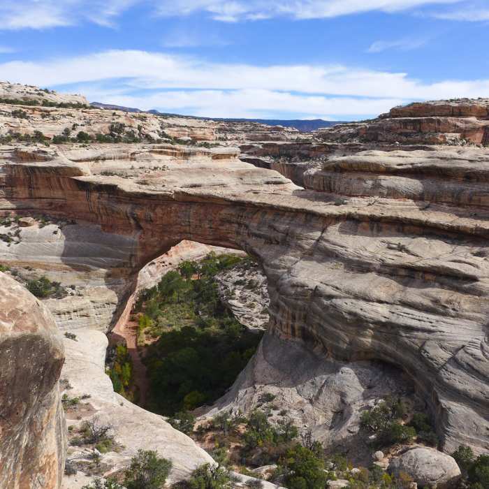 Overlooking the Sipapu Bridge. Near Natural Bridges National Monument Full Loop