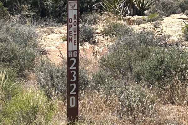 The Buzz Route - BLM 2320