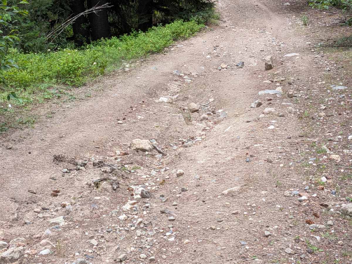 FS 3700-420 trail photo