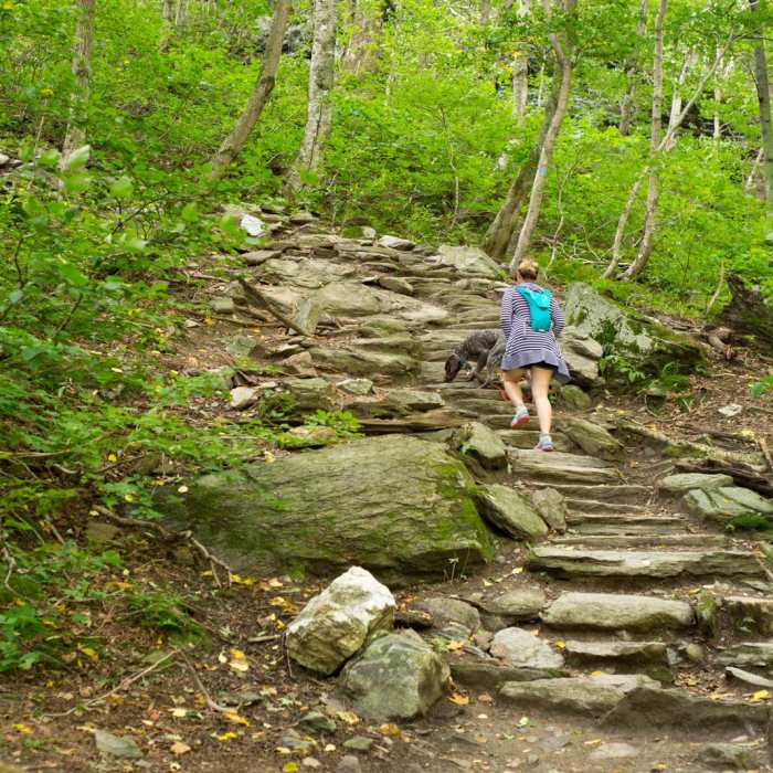 Near Sterling Pond Near Sterling Pond