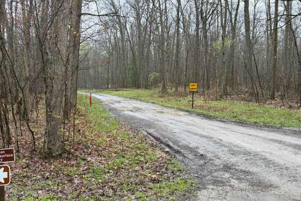 Elk Horn Run - FS 155