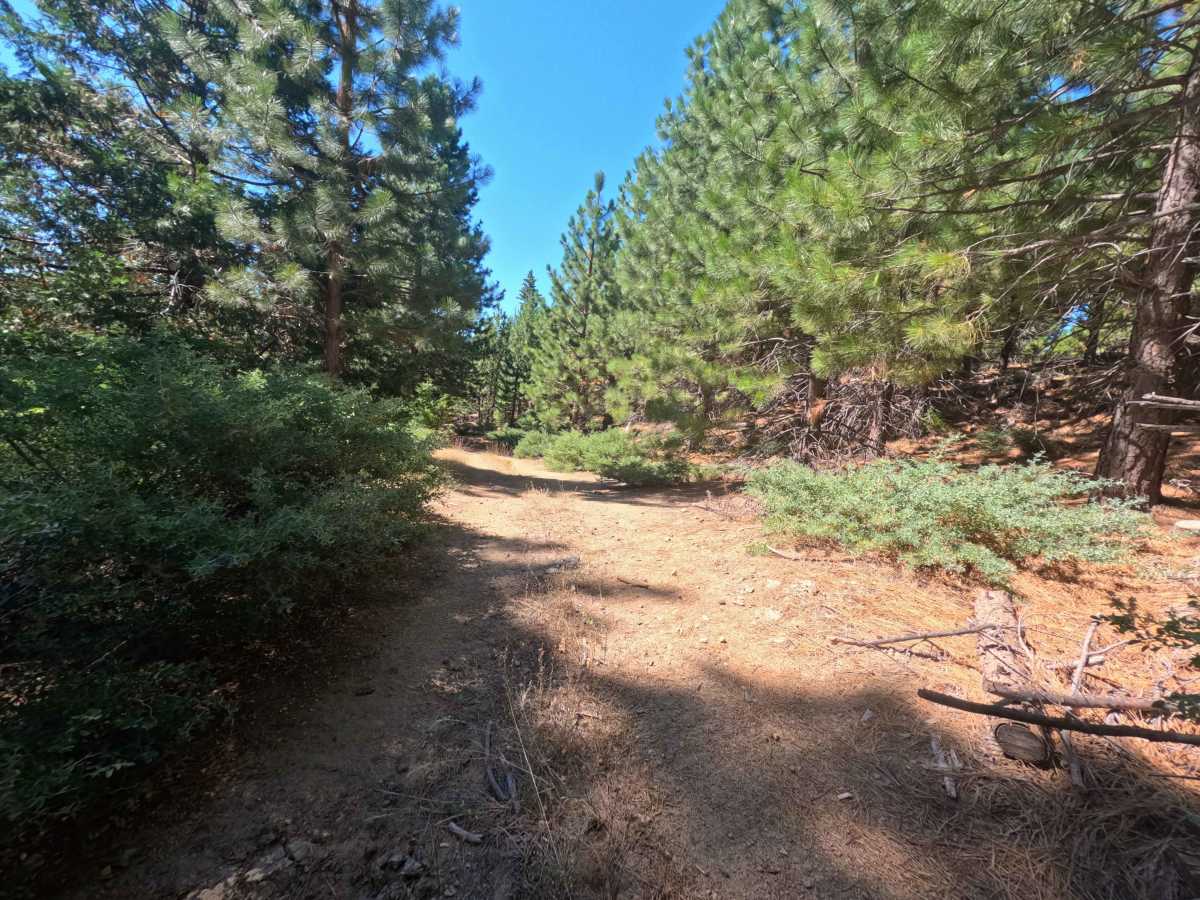 Doe Road - FS 8N02 photo 4