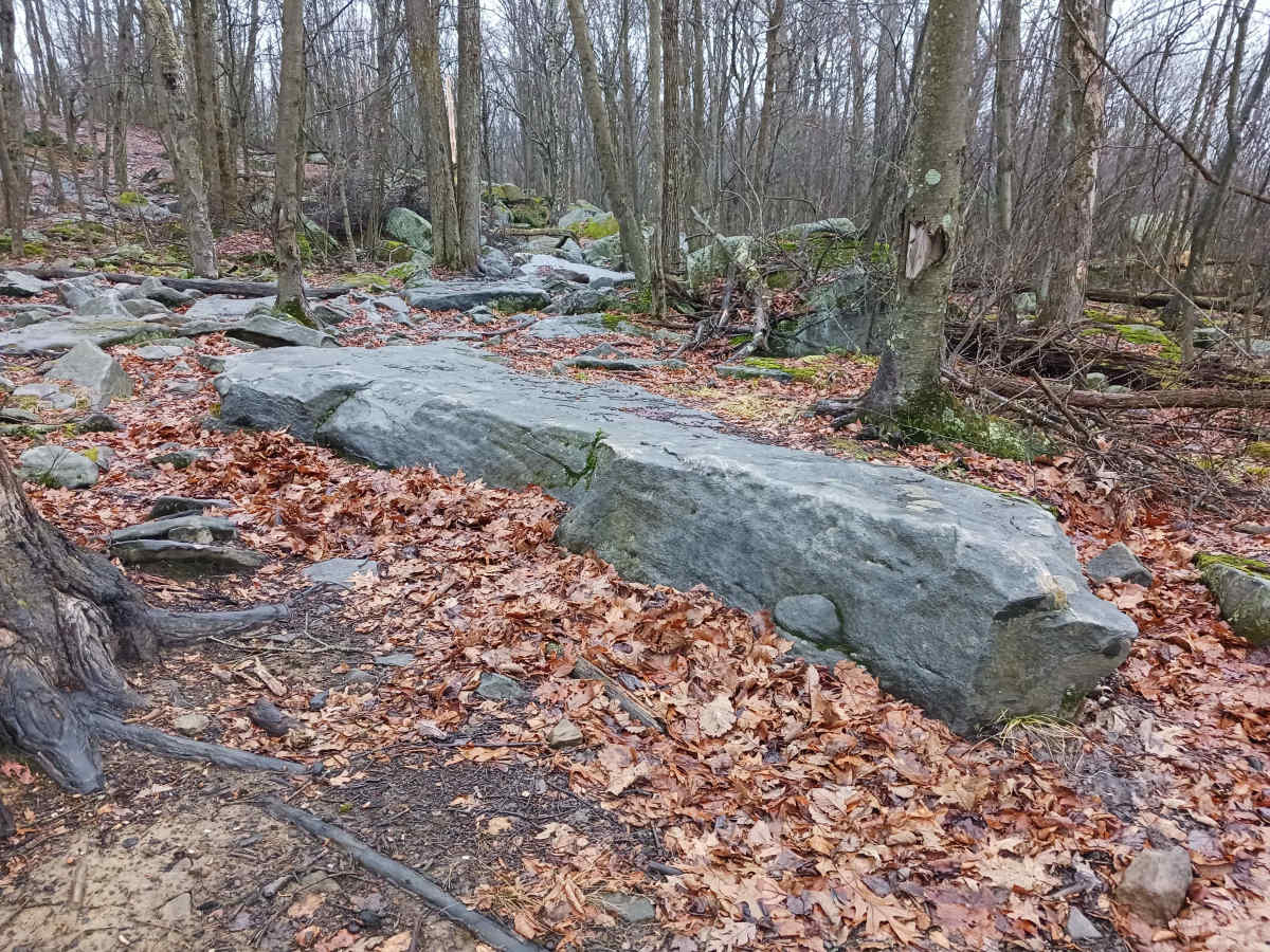 OHV 40 - Rock Run Recreation Area photo 4