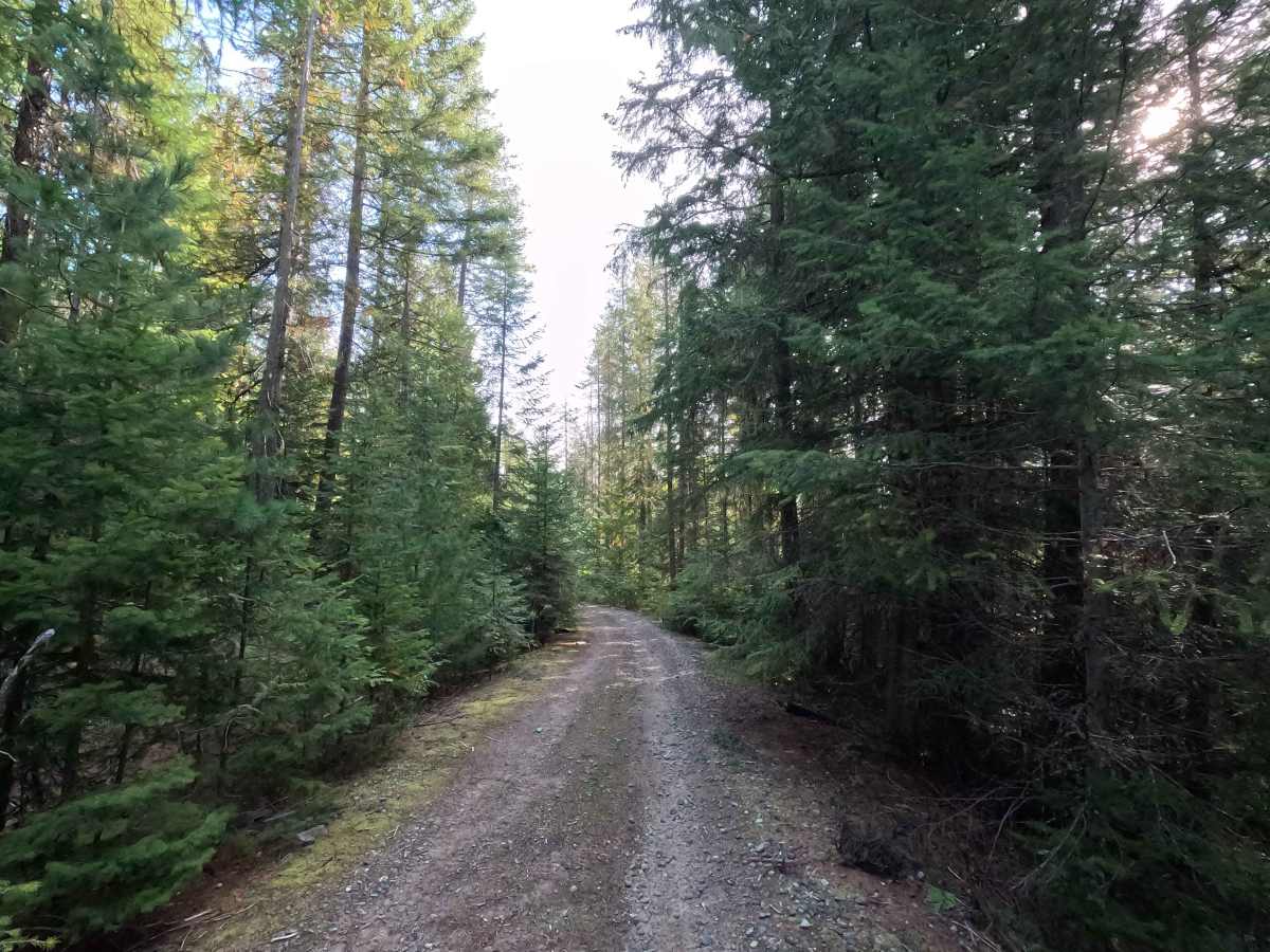 Hosmer Creek - FS 7005490 photo 2