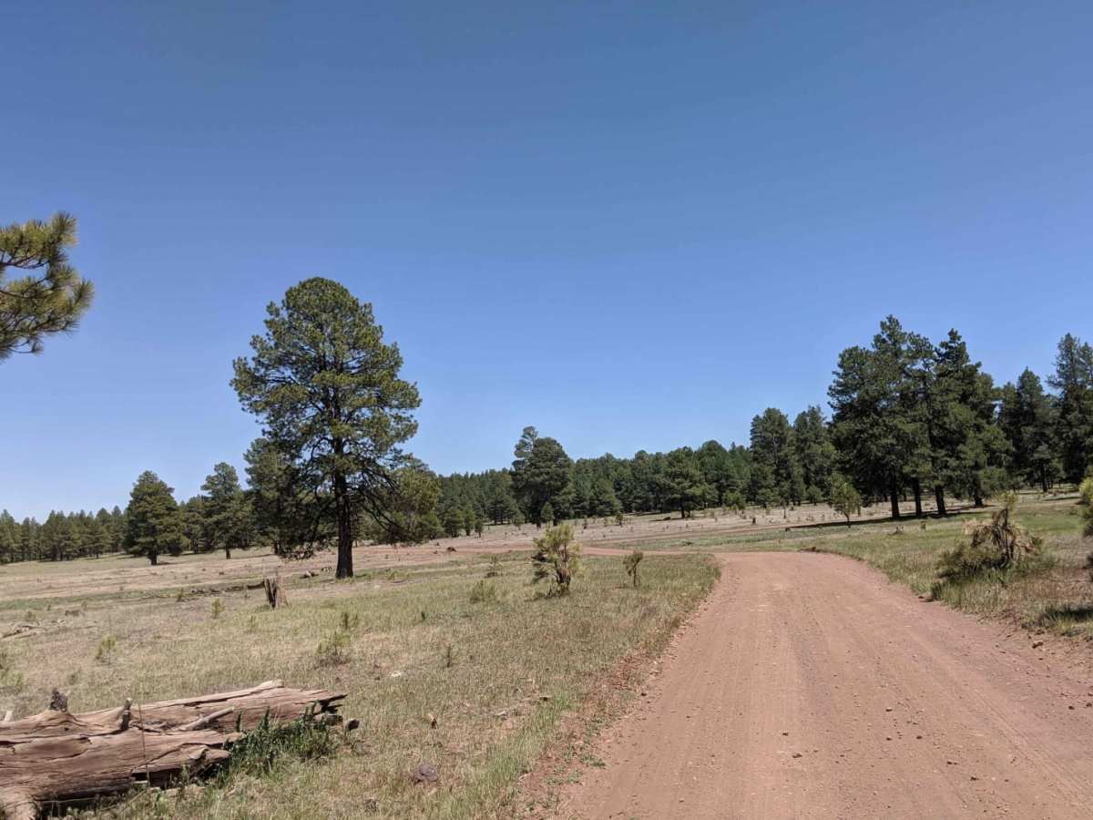 Backward Tank trail photo