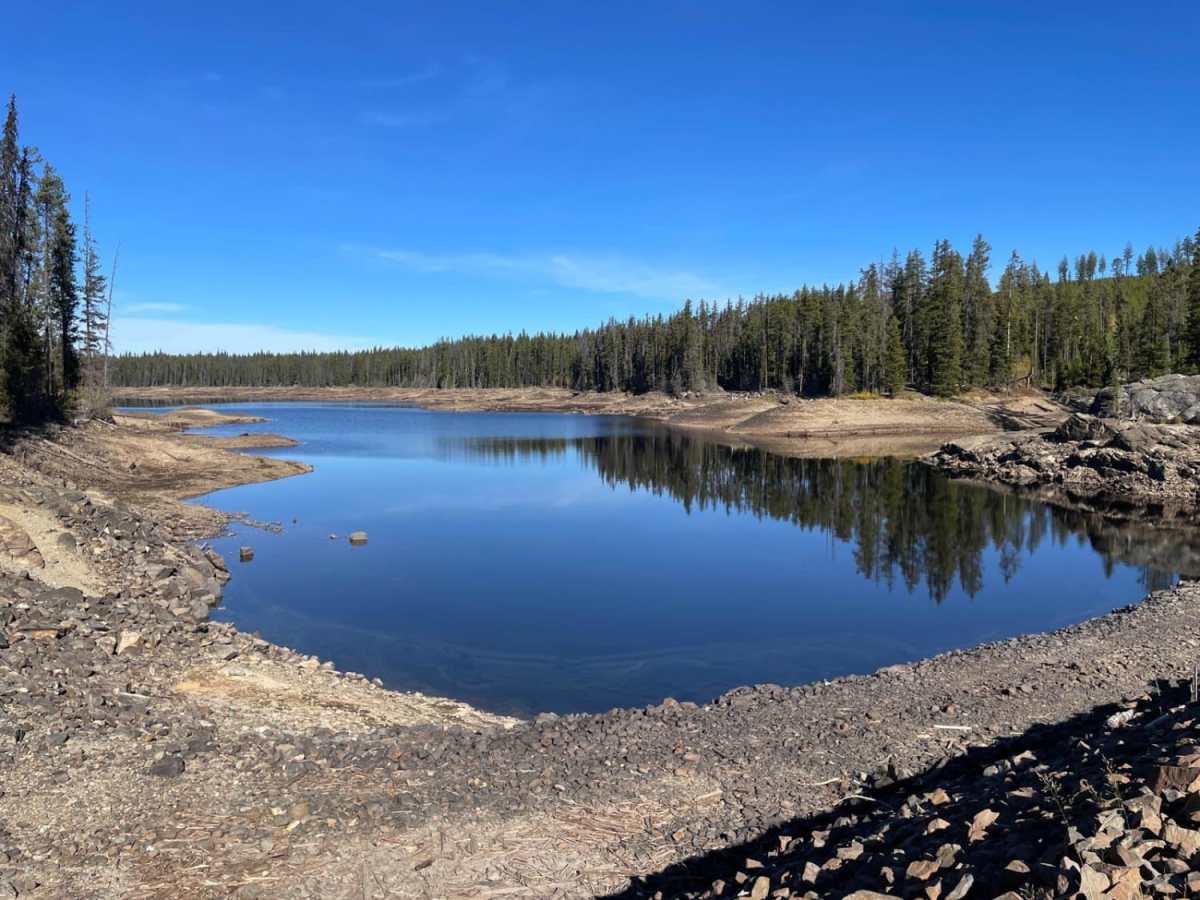 Ideal Lake trail photo