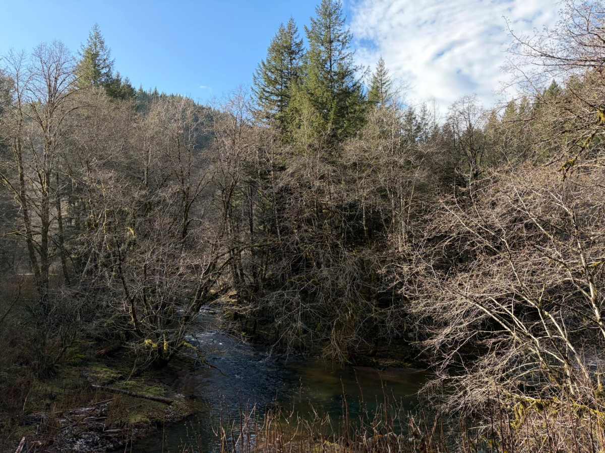 Ginger Creek Road photo 3