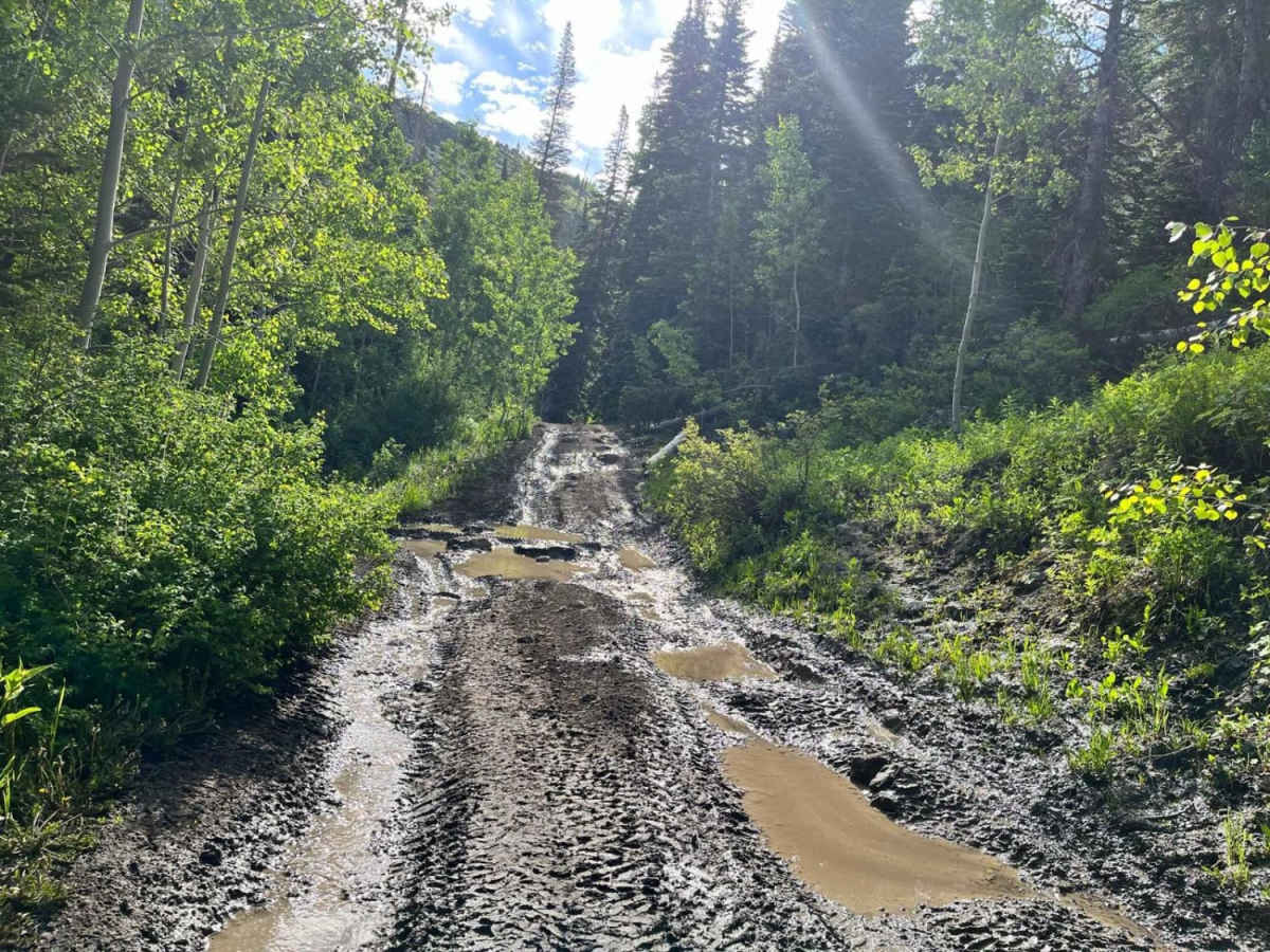 Middle Fork photo 6