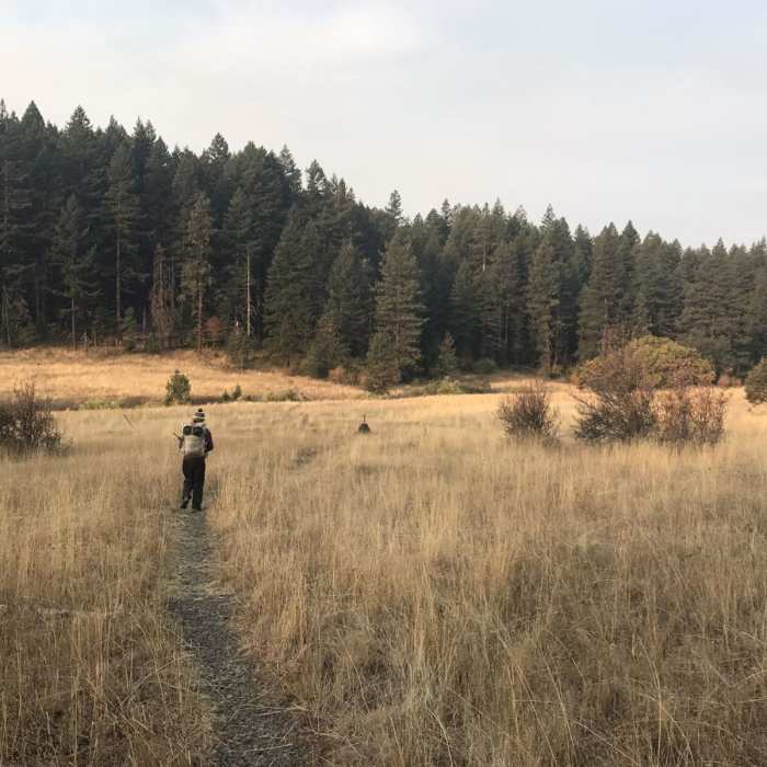 Near Pacific Crest Trail: Oregon Section B - Highway 5 to Highway 140 (near Fish Lake)