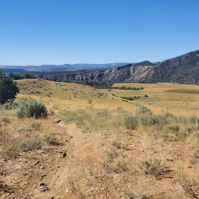 Looking towards the southwest from the end of the Carbon Junction Trail. Near South Rim Trail