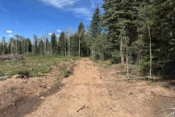 Pipe Creek Road Spur