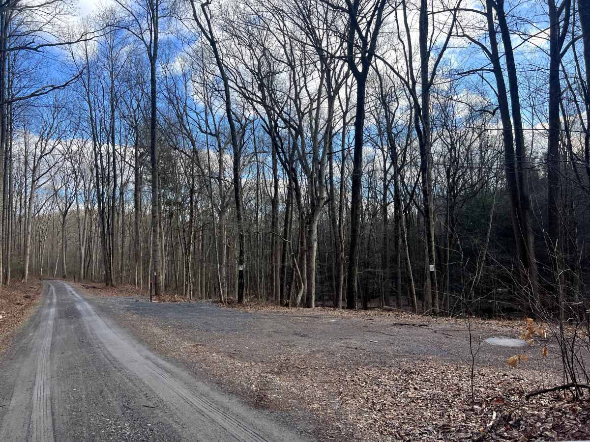 Bear Creek Road photo 4