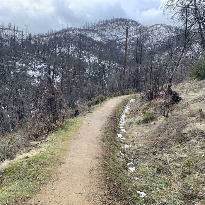 Near Crysral Creek Water Ditch Trail