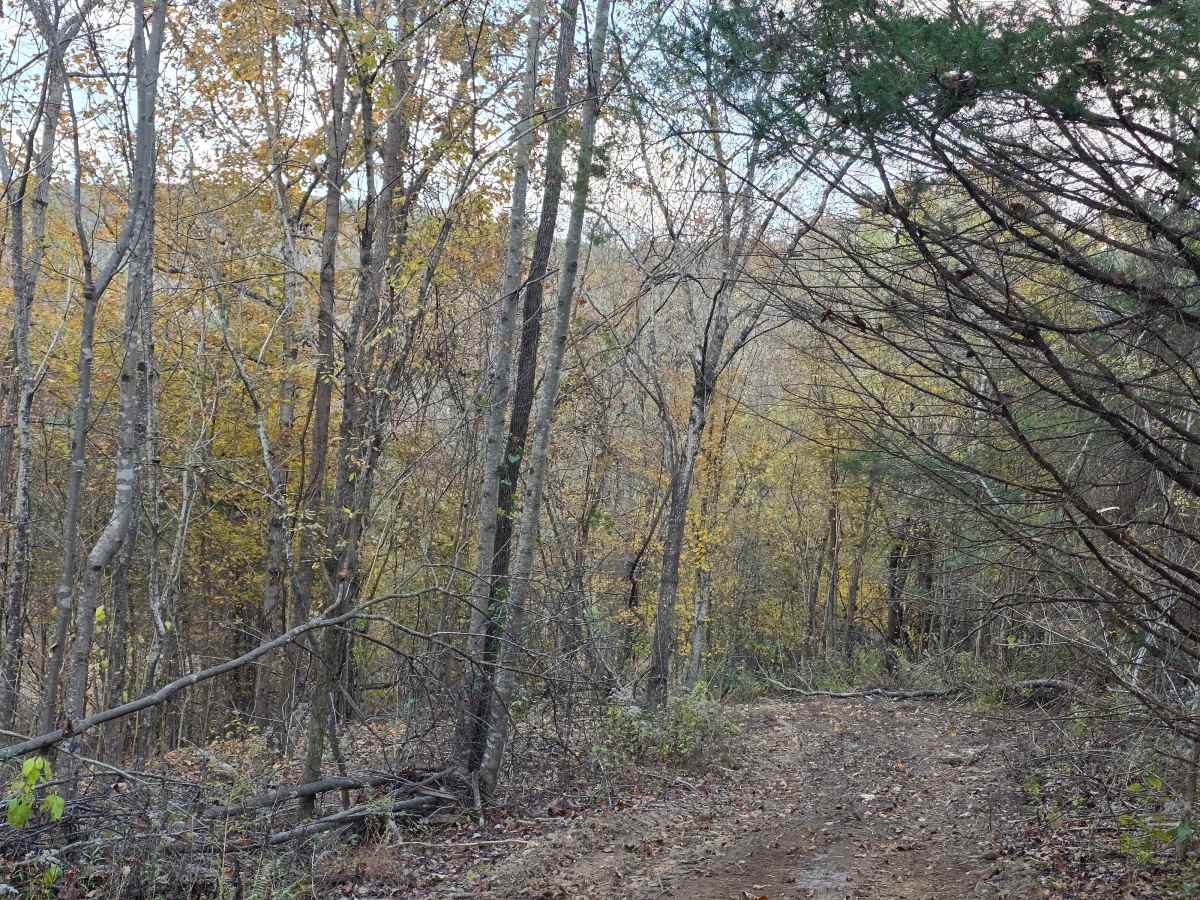 Hardwood Hollow Bypass photo 4
