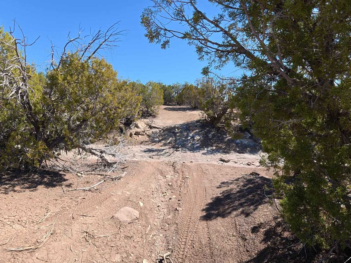 BLM 281 trail photo