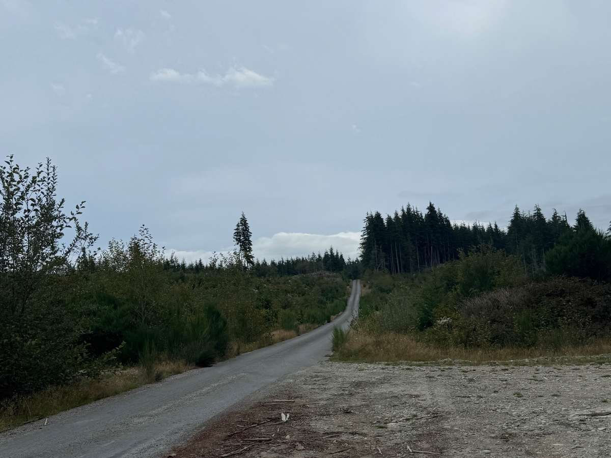 FFRQ 1000 trail photo