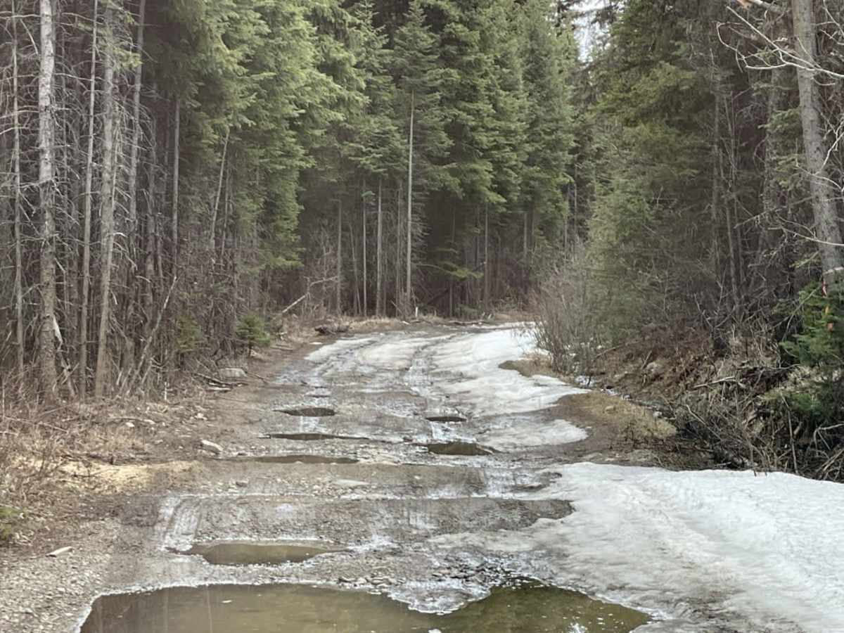 Moore Lake Rec site (from Posthill) trail photo