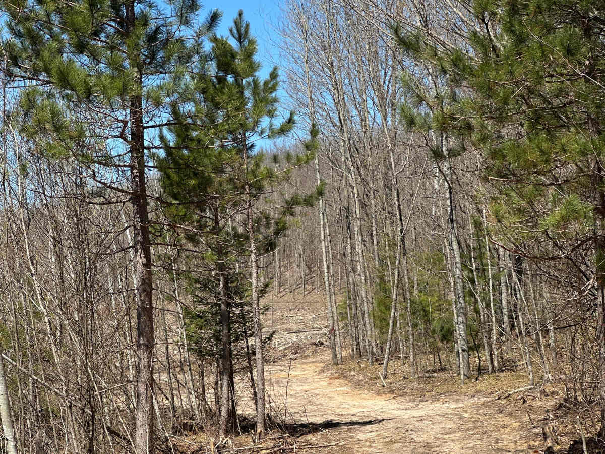 Storm Loop photo 4