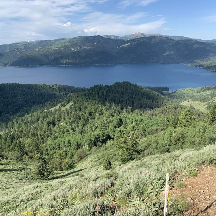 Near Quaker Flat Trail