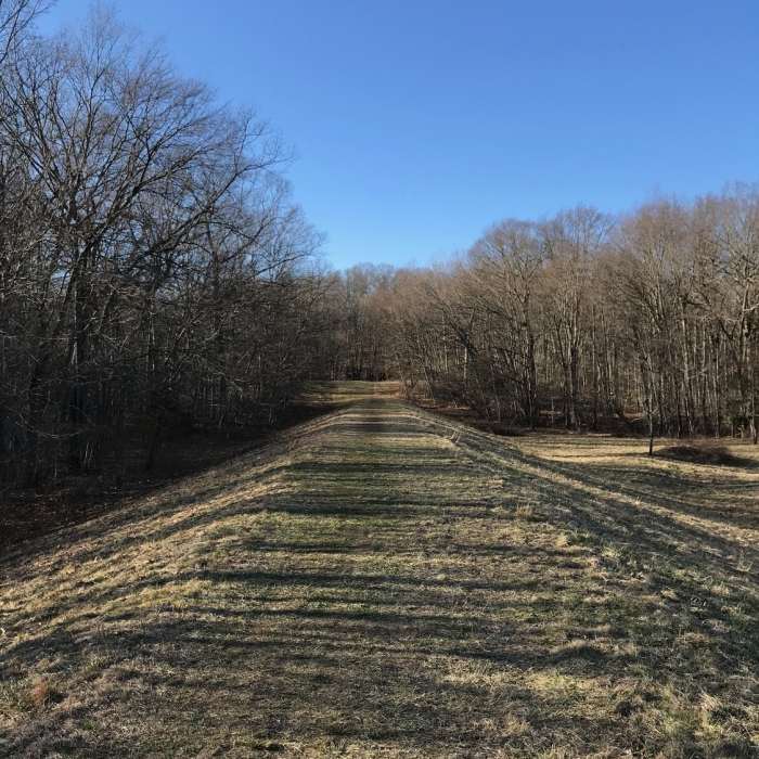 Near Mohegan Park Loop