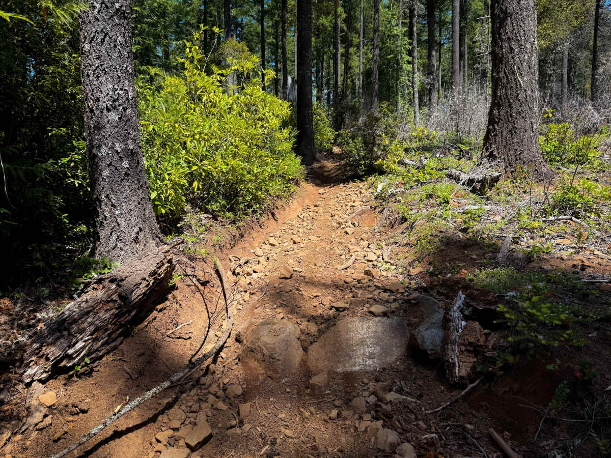 108 (Single-Track) photo 6