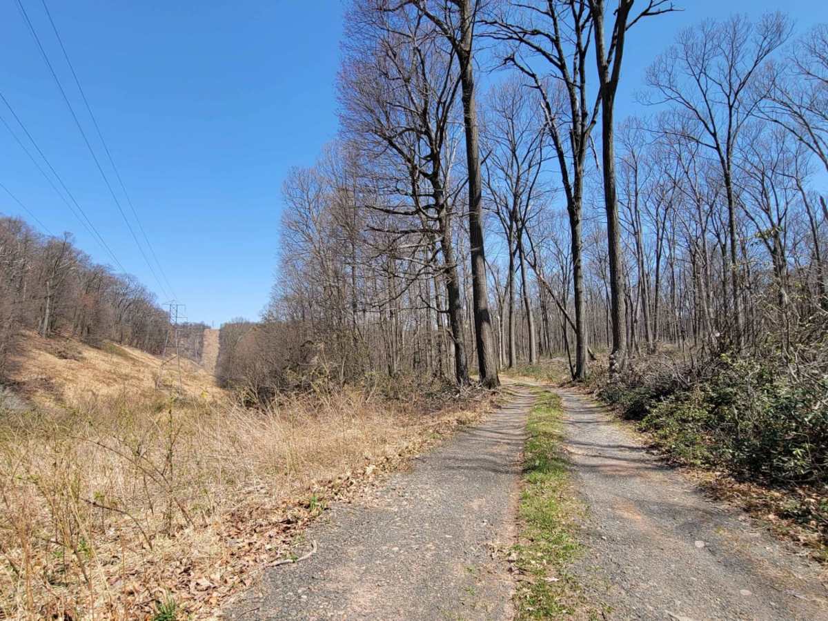 Odonnel Field Trail photo 6