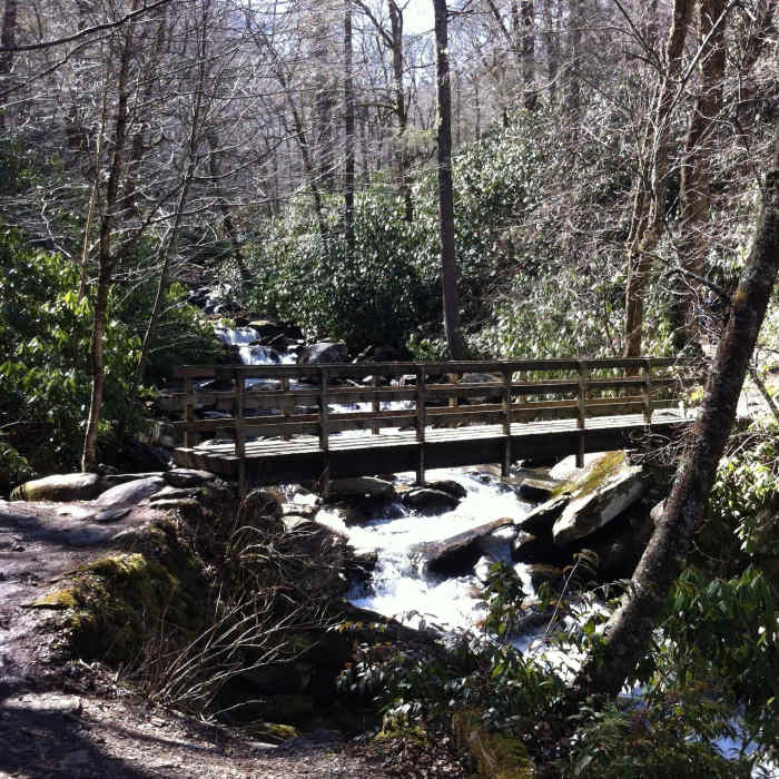Road Prong Trail Near Road Prong Trail