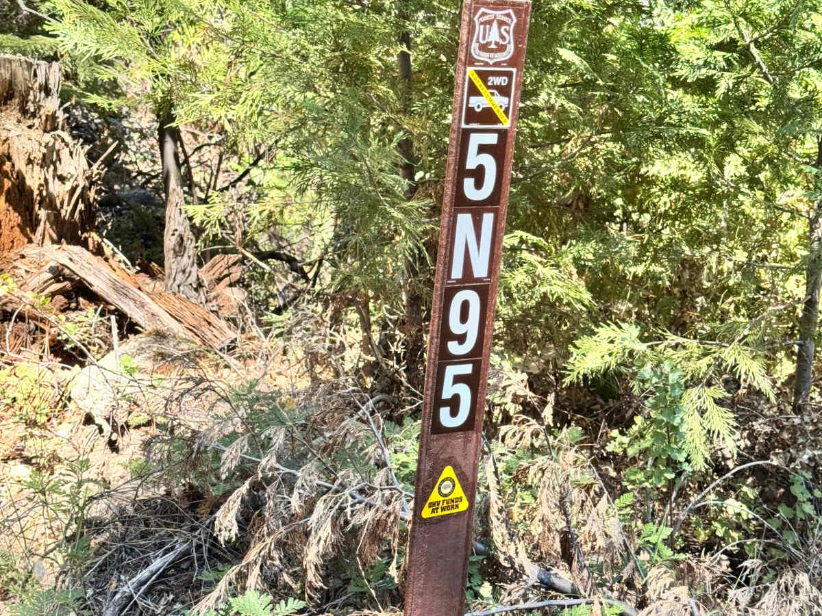 Hells Half Acre Road - FS 5N95 photo 6