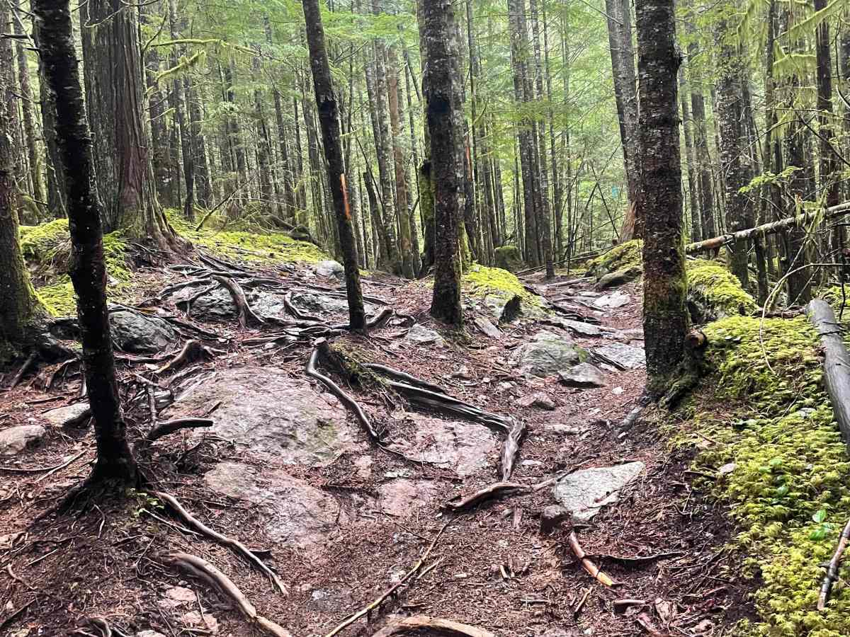 Kin A Day trail photo