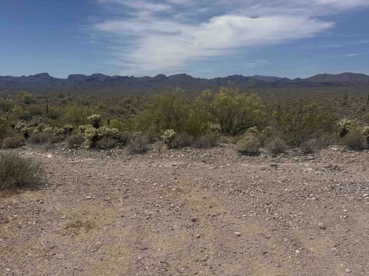 BLM 28063 photo 2