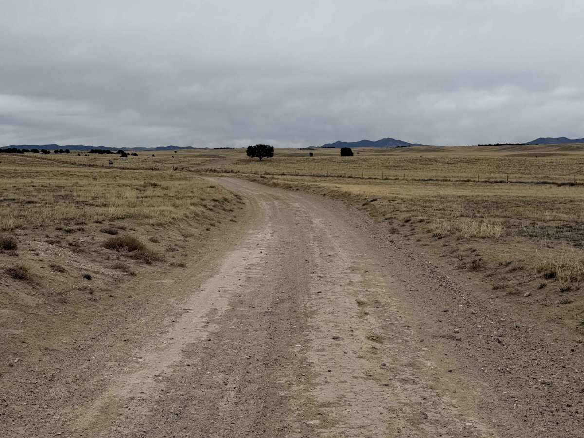 Shepherd Road photo 2