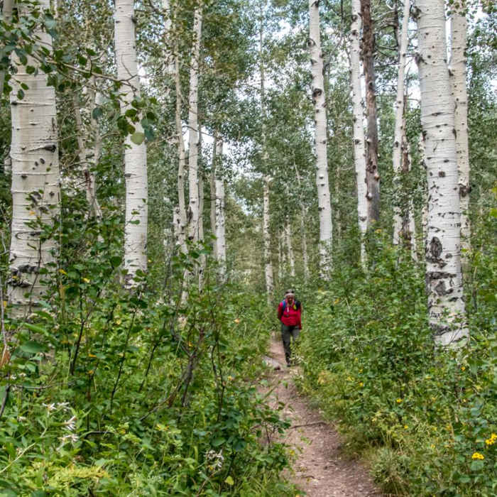 Near Upper Fish Creek Falls
