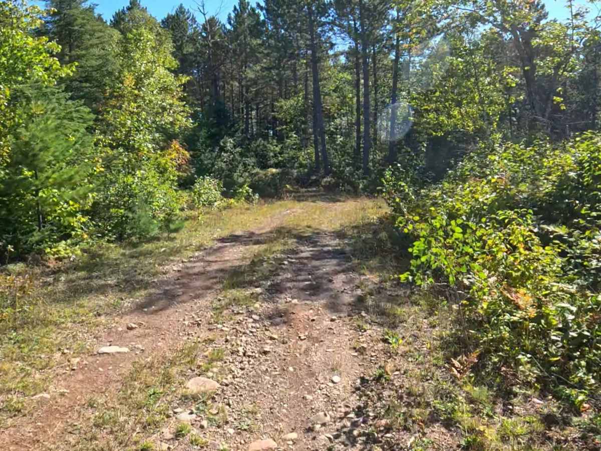 FS 174A photo 6