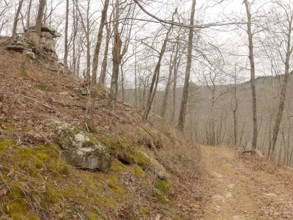 Alexander Mountain photo 6