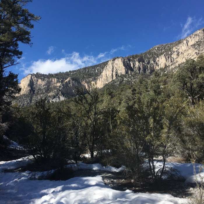 Near Fletcher Canyon Trail