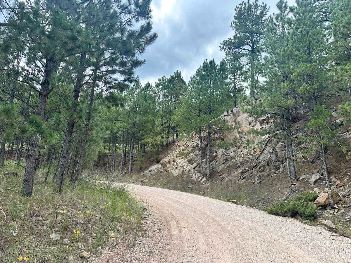 Herbert Draw Road trail photo