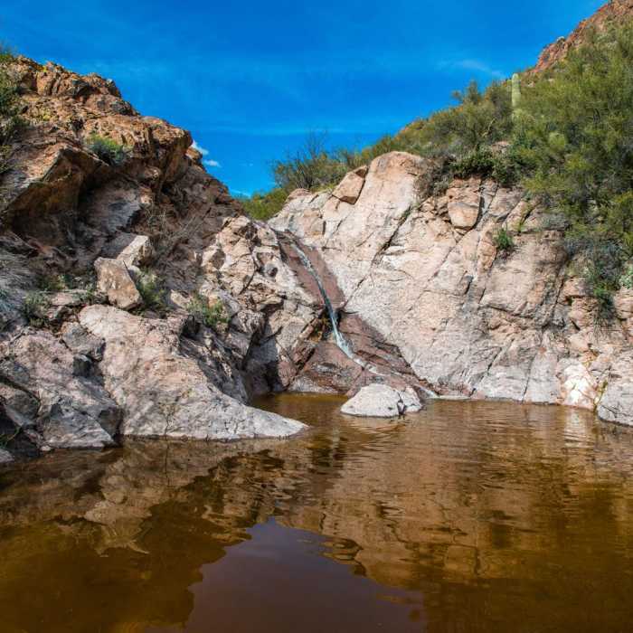Near Second Water Trail to Hackberry Springs Loop
