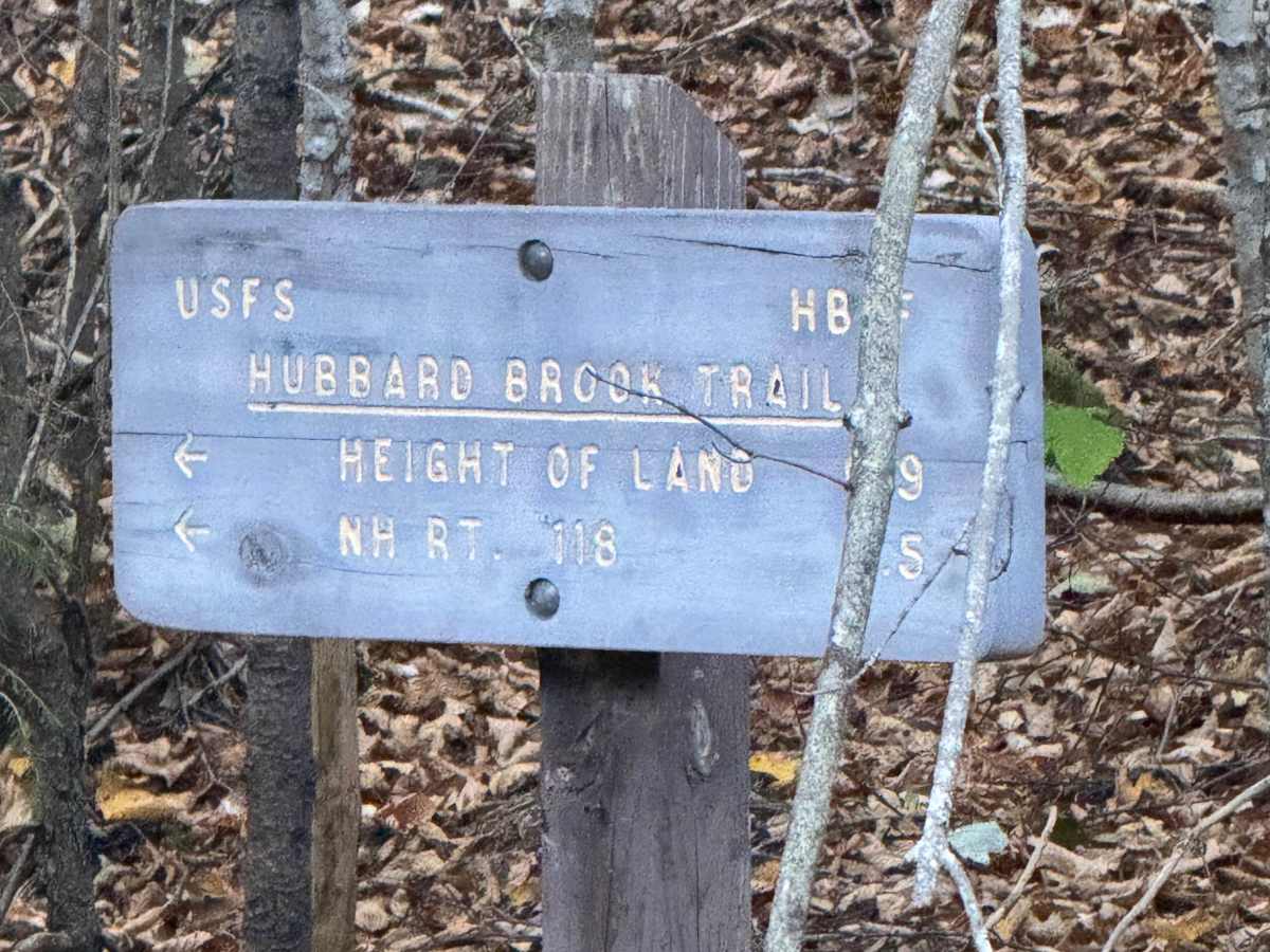 Hubbard Brook Road  photo 4