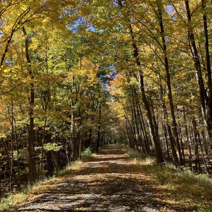 Ashokan Rail Trail Near Ashokan Rail Trail