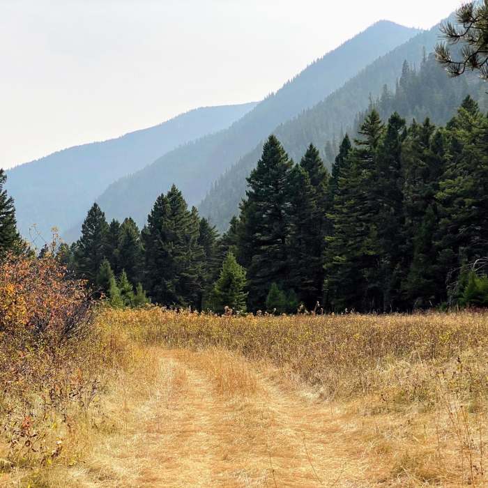 Near Gallatin River Trail #137