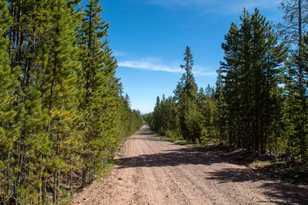 Gilbert Creek - FS 80075