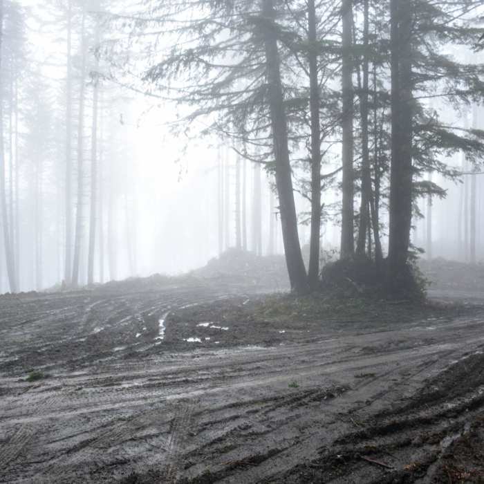 Near Horse Creek South Trail Hike