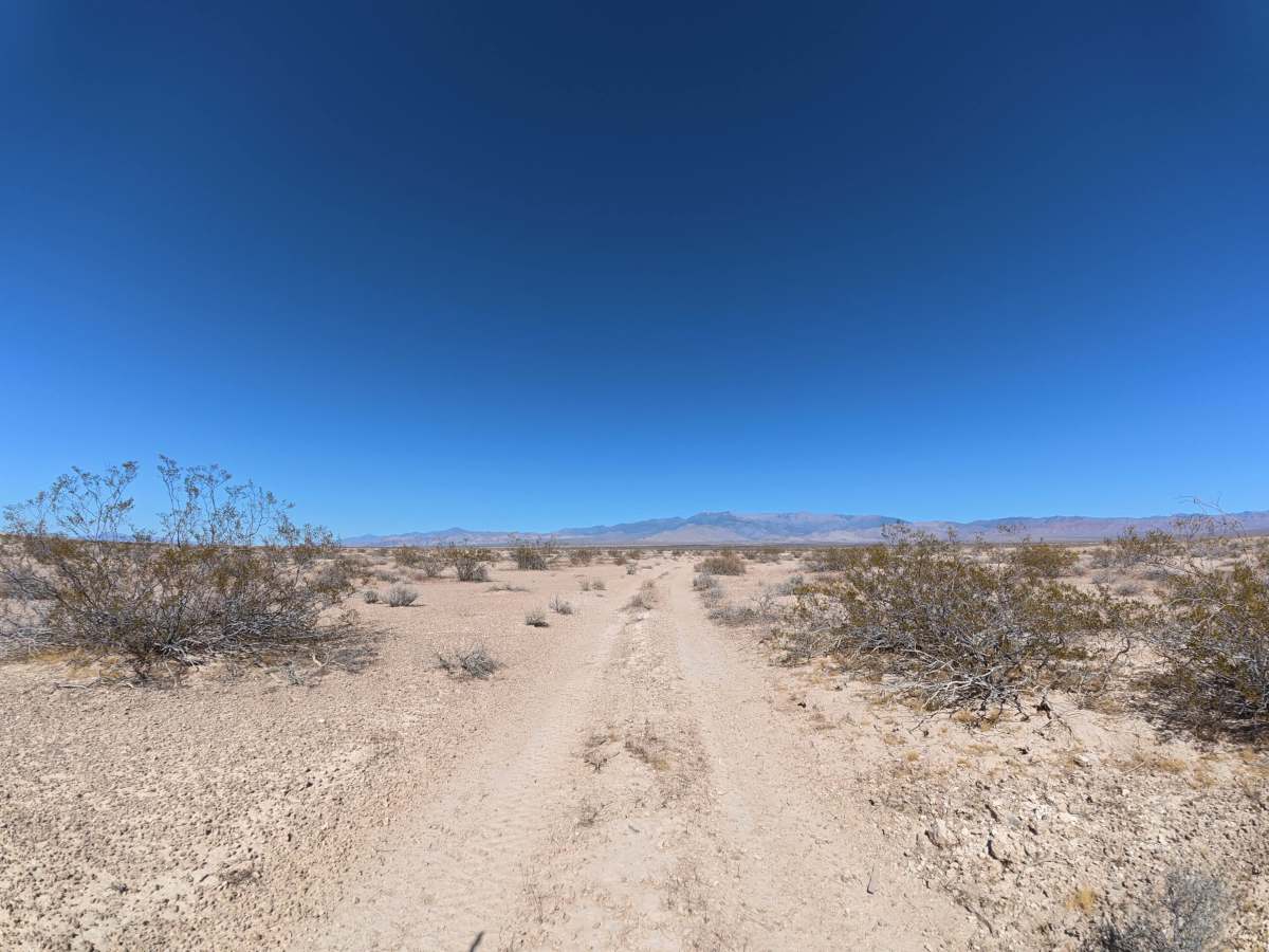 Cathedral Cut-Off trail photo