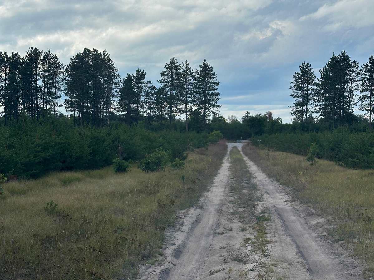 Otter Loop Around  photo 5