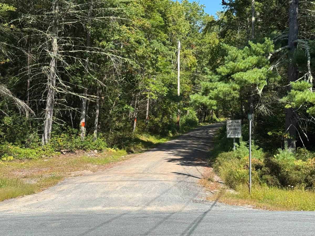 Lebanon Road photo 6