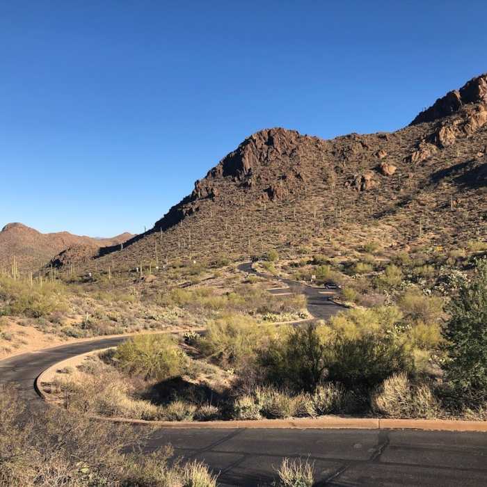 Near Gates Pass Trail