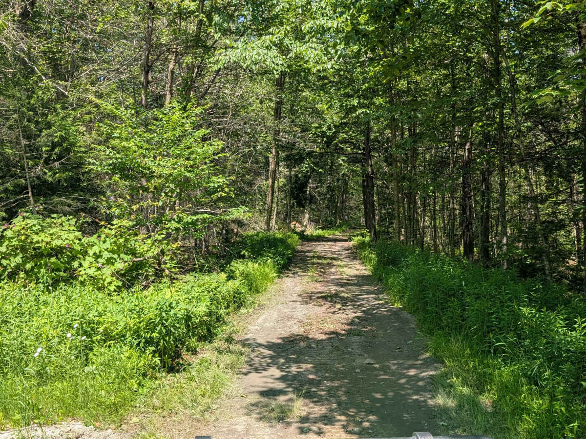 Powell/Stearns Road trail photo
