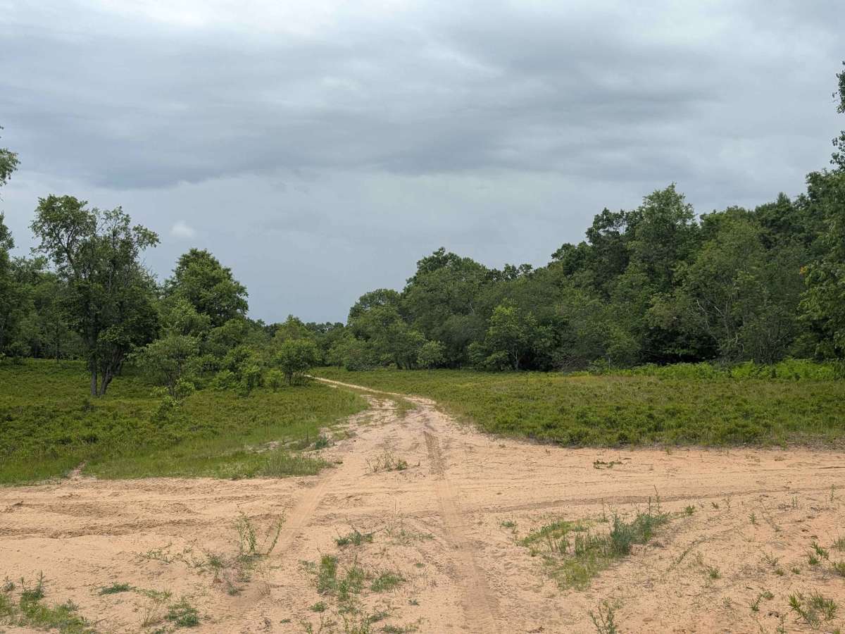 Pine Road Southeast photo 5