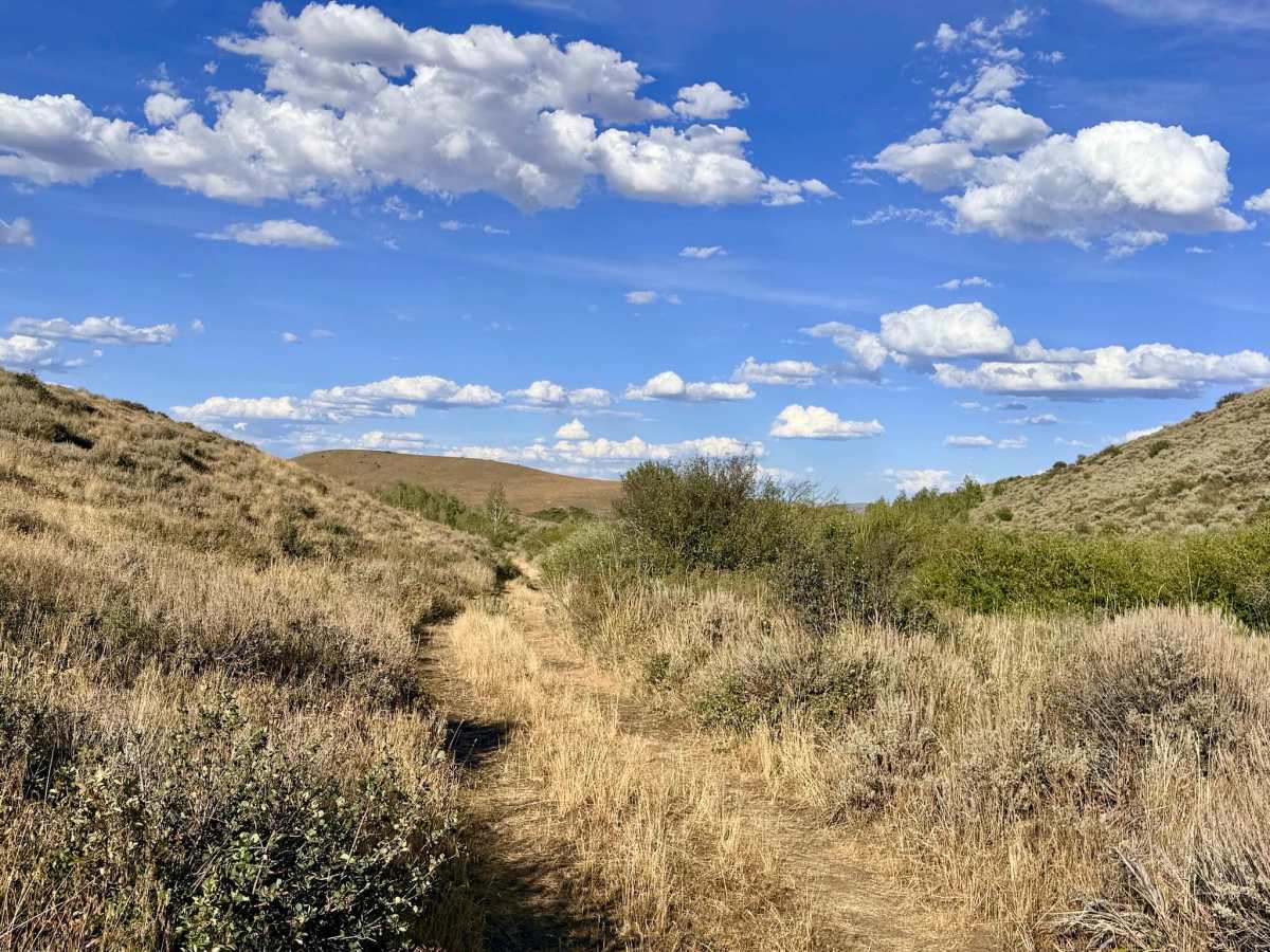 Winters Creek Road - FS 56156 photo 4