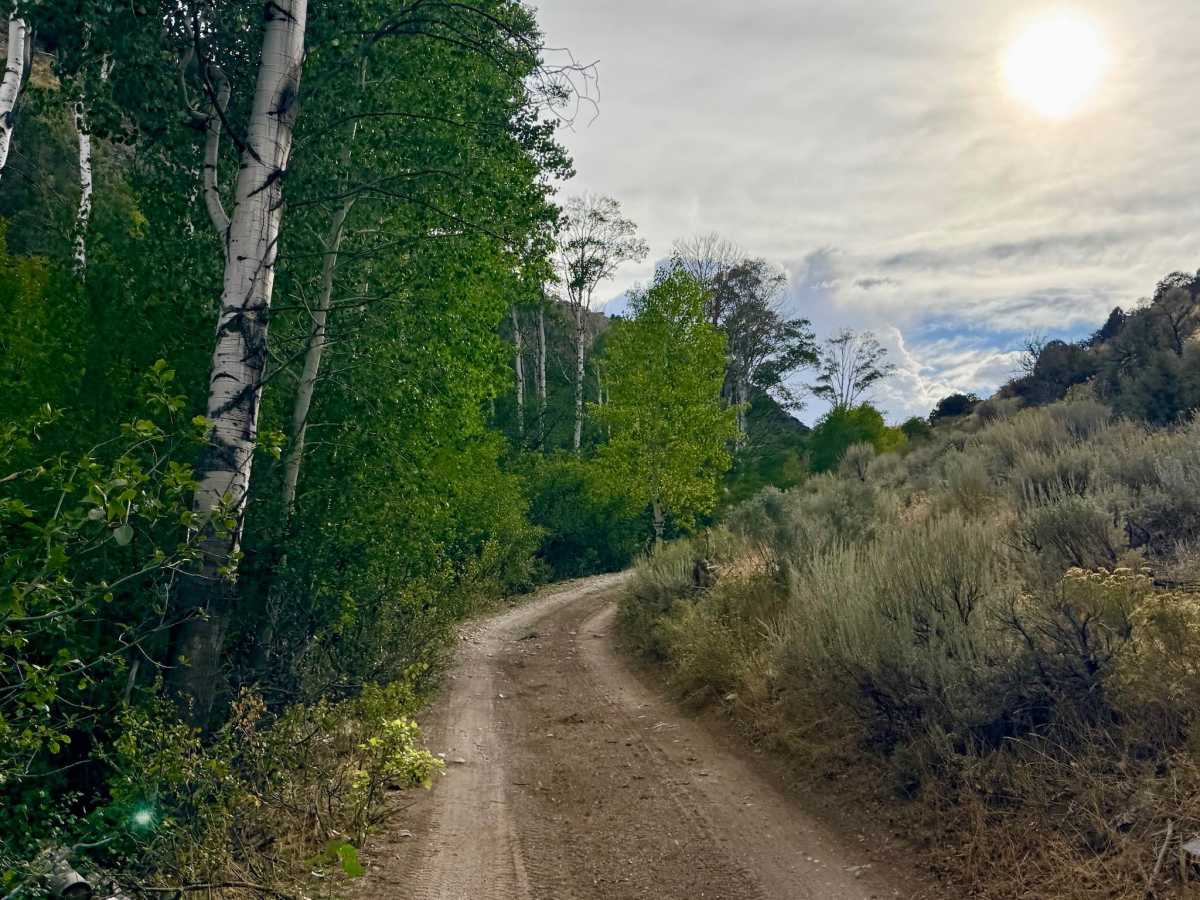  Road Canyon - FS 57111 photo 5